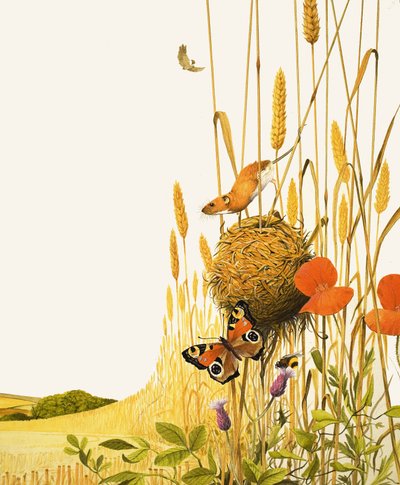 フィールドマウスと蝶 作： English School